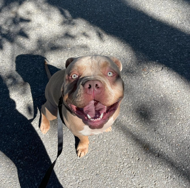George — always happy