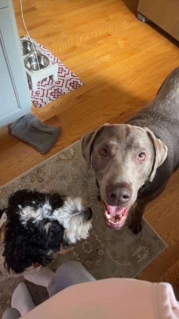 Kobe/Penny — Best pals